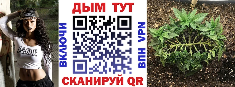Бошки Шишки план  Билибино 
